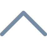 Chevron Up SVG Icon